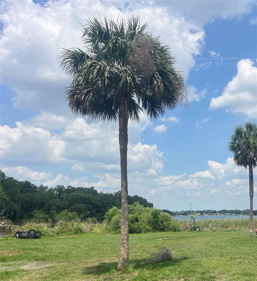 Discover the perfect home for your boat on this stunning 1-acre lakefront lot! Whether you're a wakeboarding enthusiast, avid skier, or just love being on the water, this property is your dream come true. With plenty of space to build a dock, boathouse, or boat lift, you’ll have your watercraft "Wakeboard-Ready" at all times.

Just minutes from Downtown Orlando, this lot offers a rare blend of convenience and outdoor adventure. Drive in, drop the boat, and enjoy endless skiing, wakeboarding, fishing, or a weekend staycation – no long hauls or crowded ramps needed.

This spacious parcel is also ideal for building your dream home or a group purchase with friends. Share the cost, store your boats, and make memories together. Located in a well-established neighborhood on a fantastic ski lake, it’s the perfect spot for a year-round lifestyle of fun, relaxation, and lakefront living.

Don’t miss this opportunity – the lake life is calling!