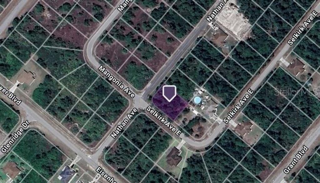 Photo of 357 Nathan Avenue, Lehigh Acres, FL 33974 (MLS # C7506294)