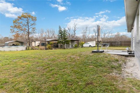 A home in MOUNT DORA