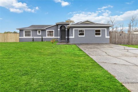 A home in MOUNT DORA