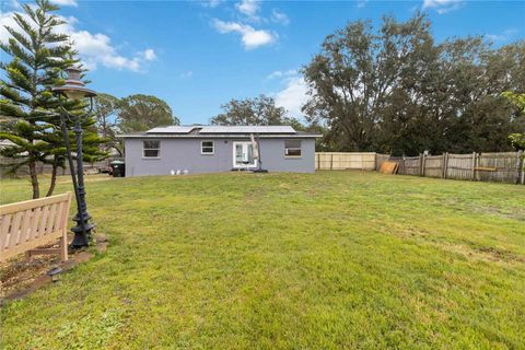 A home in MOUNT DORA