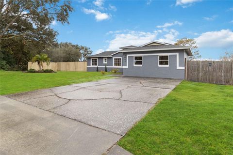 A home in MOUNT DORA