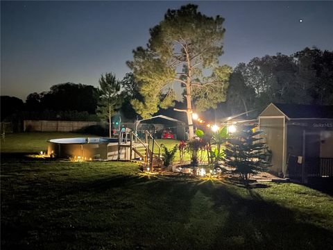 A home in MOUNT DORA