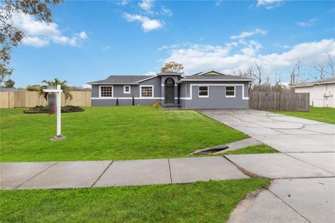 A home in MOUNT DORA