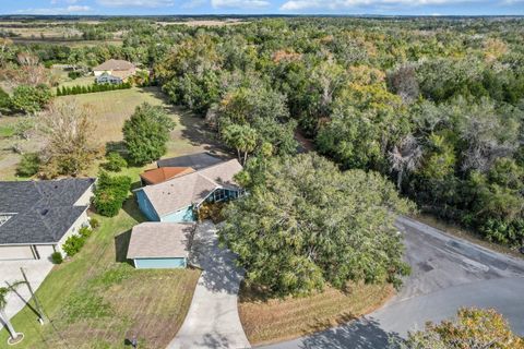 A home in HOMOSASSA