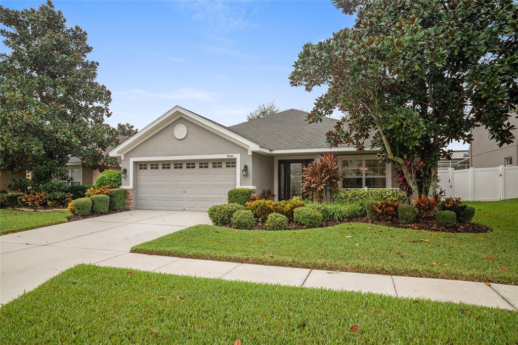 Photo of 9645 Jaybird Lane, Land O Lakes, FL 34638 (MLS # TB8442356)