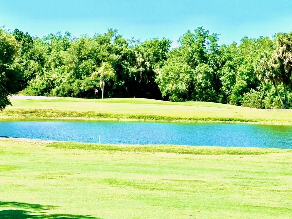 Photo of 1041 Capri Isles Boulevard #219, Venice, FL 34292 (MLS # TB8451133)