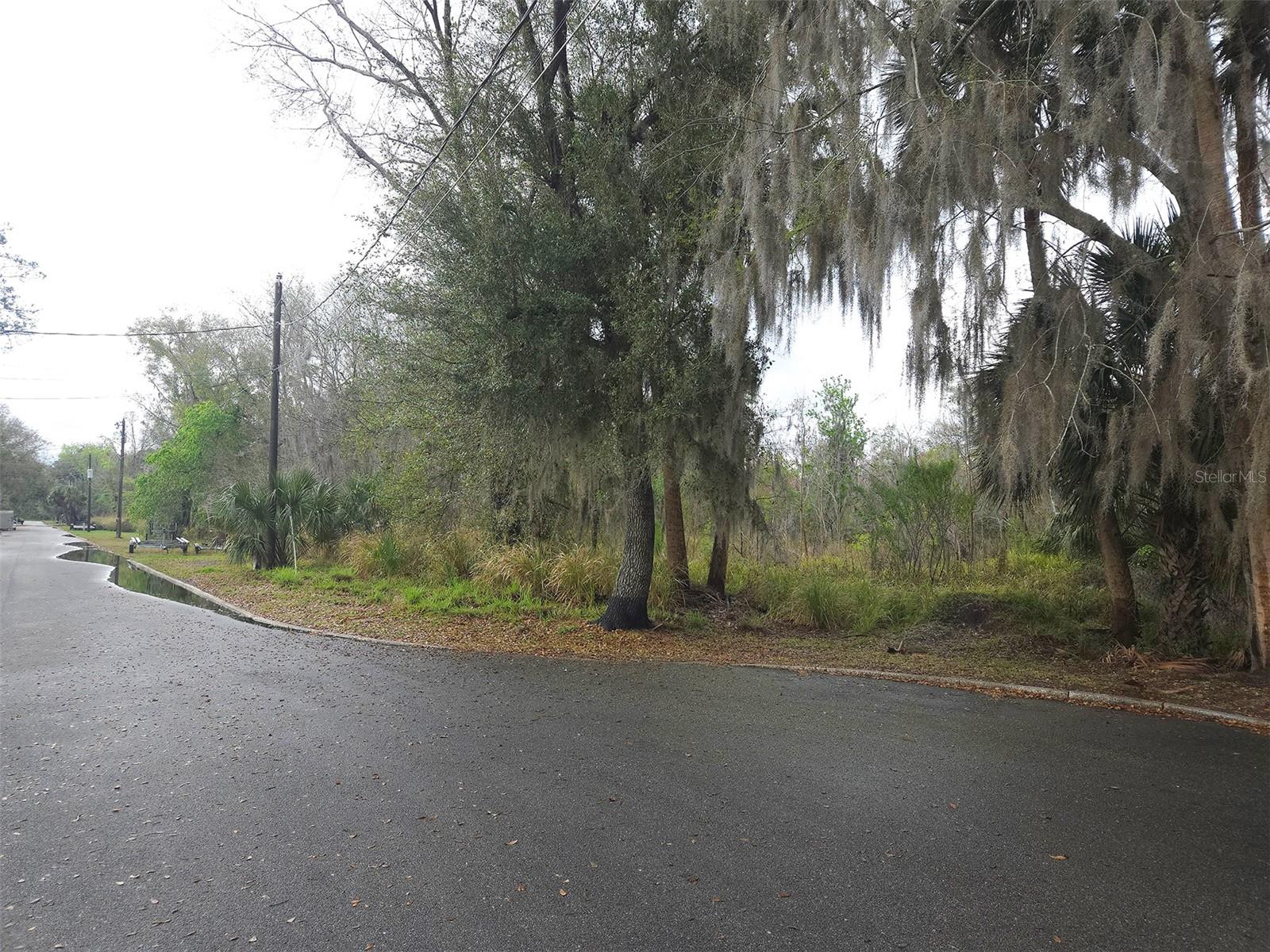 ST JOHNS RIVER ESTATES - Land