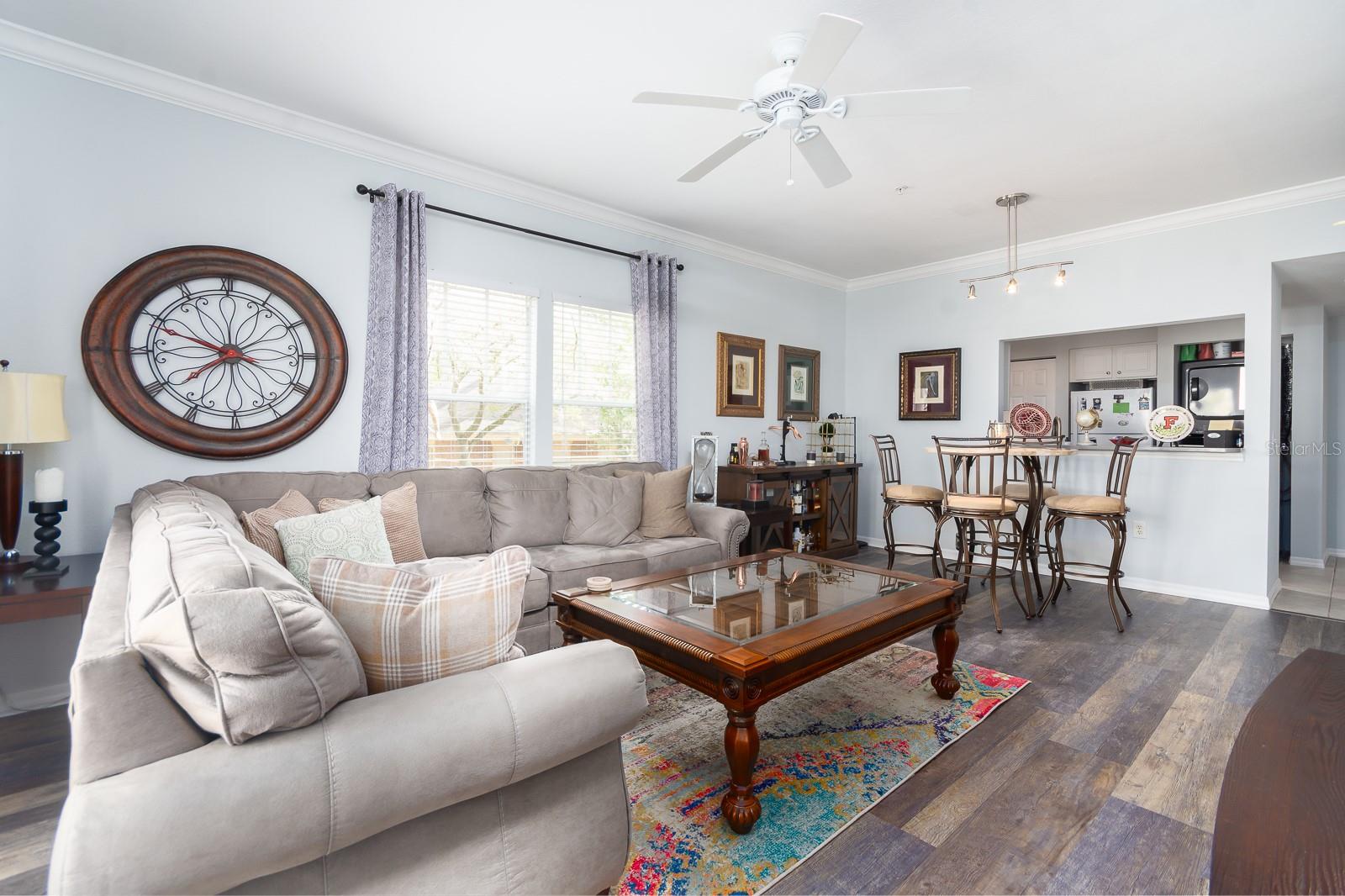 THE VILLAGE AT HAILE - Residential