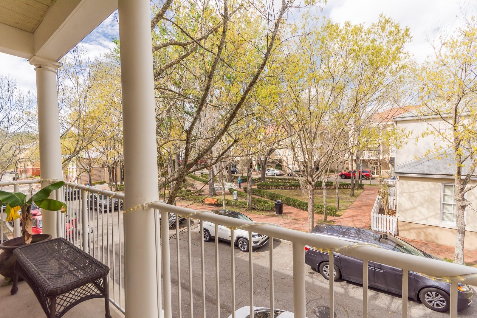 THE VILLAGE AT HAILE - Residential