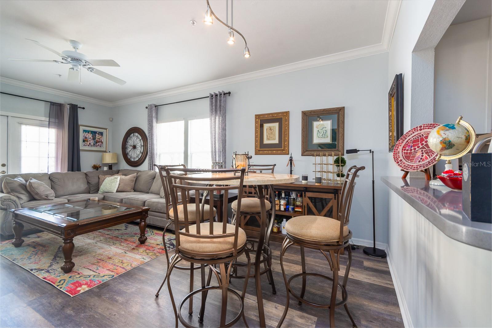 THE VILLAGE AT HAILE - Residential