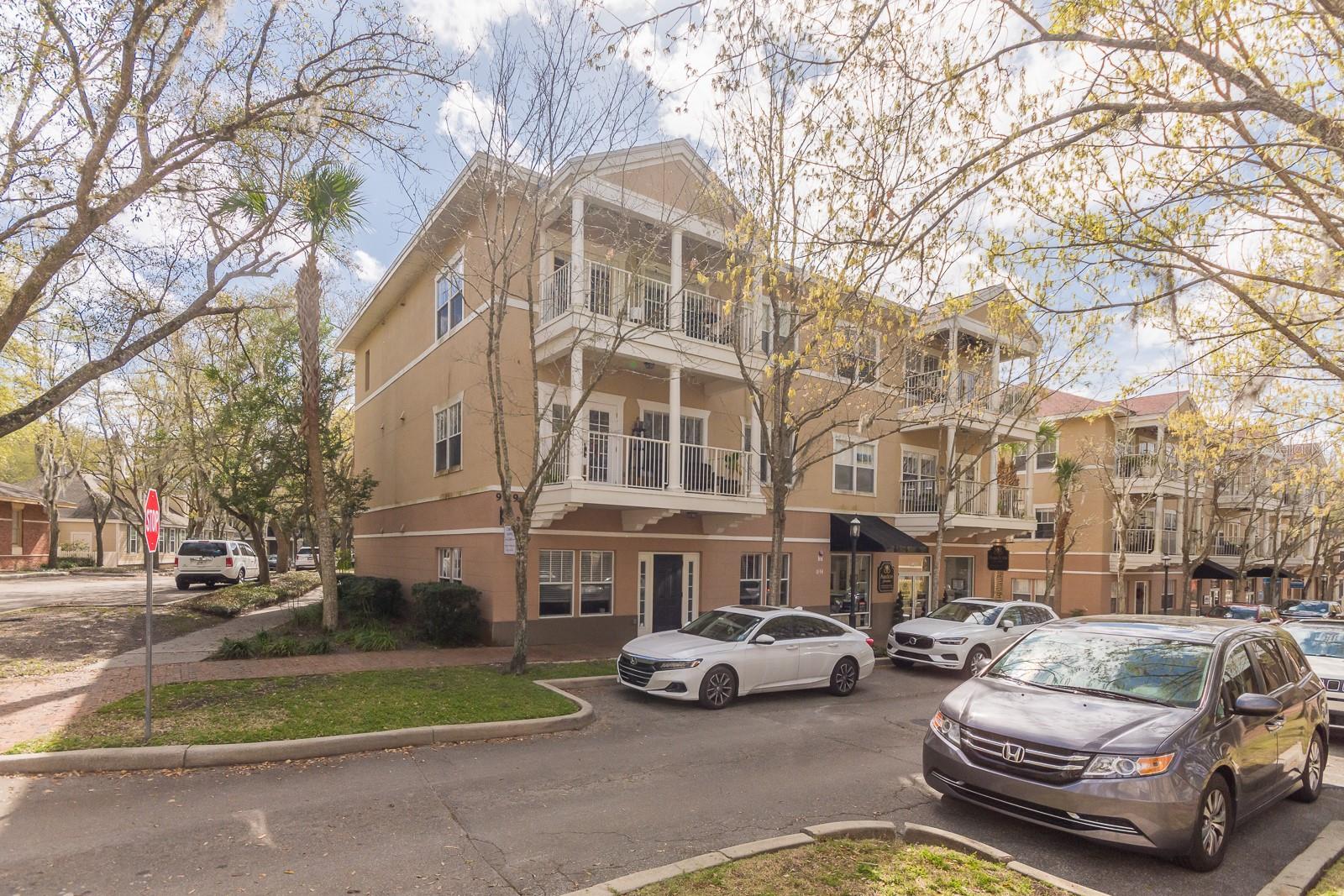 THE VILLAGE AT HAILE - Residential