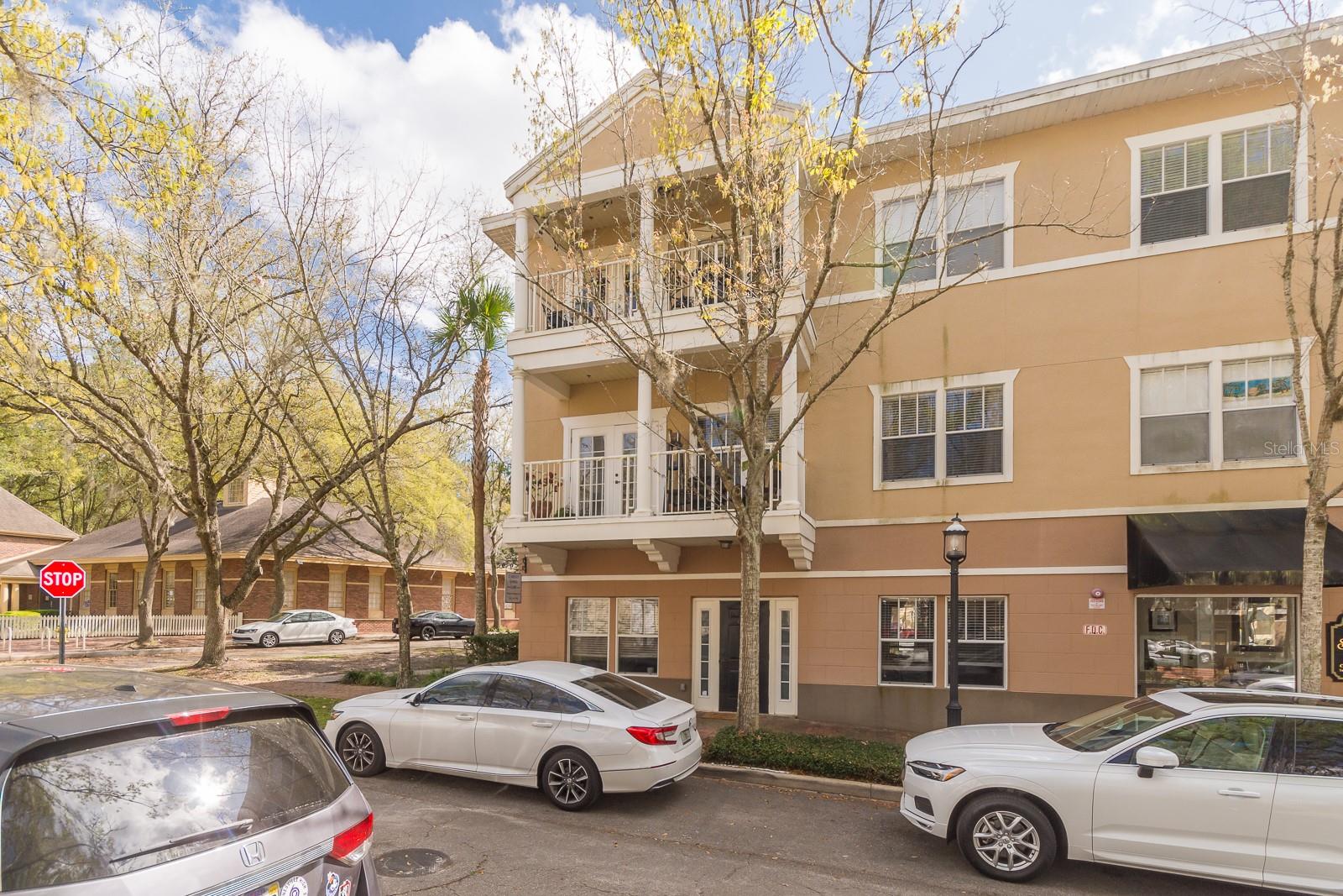 THE VILLAGE AT HAILE - Residential