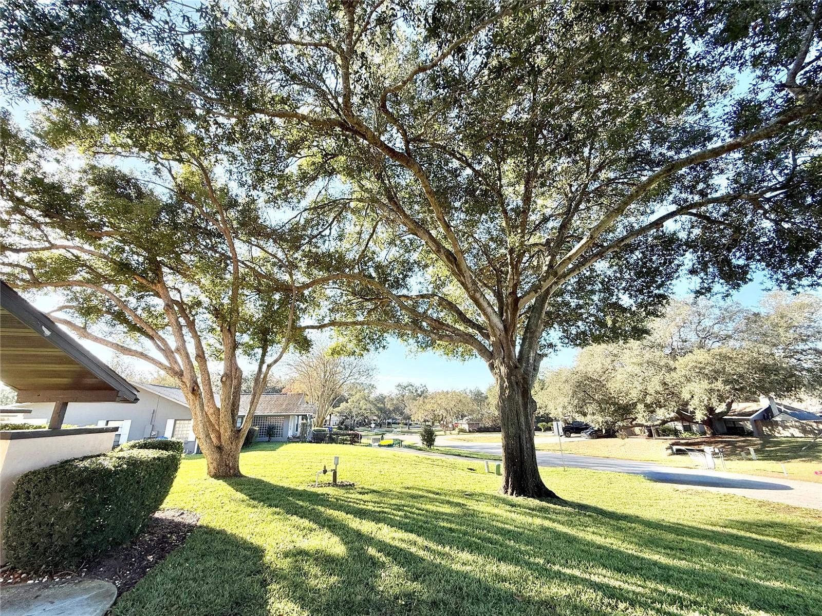 33312 COVENTRY DRIVE