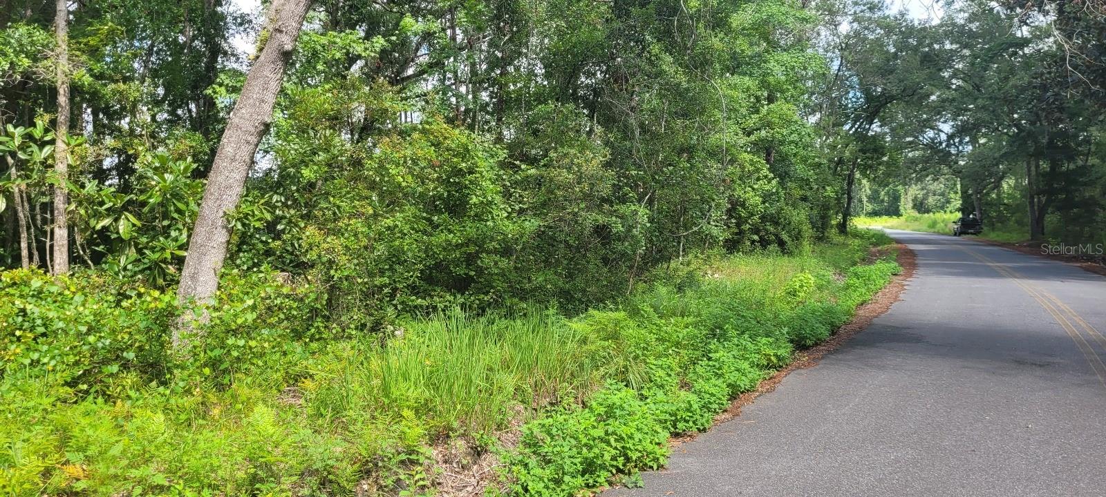 FLATWOODS ROAD