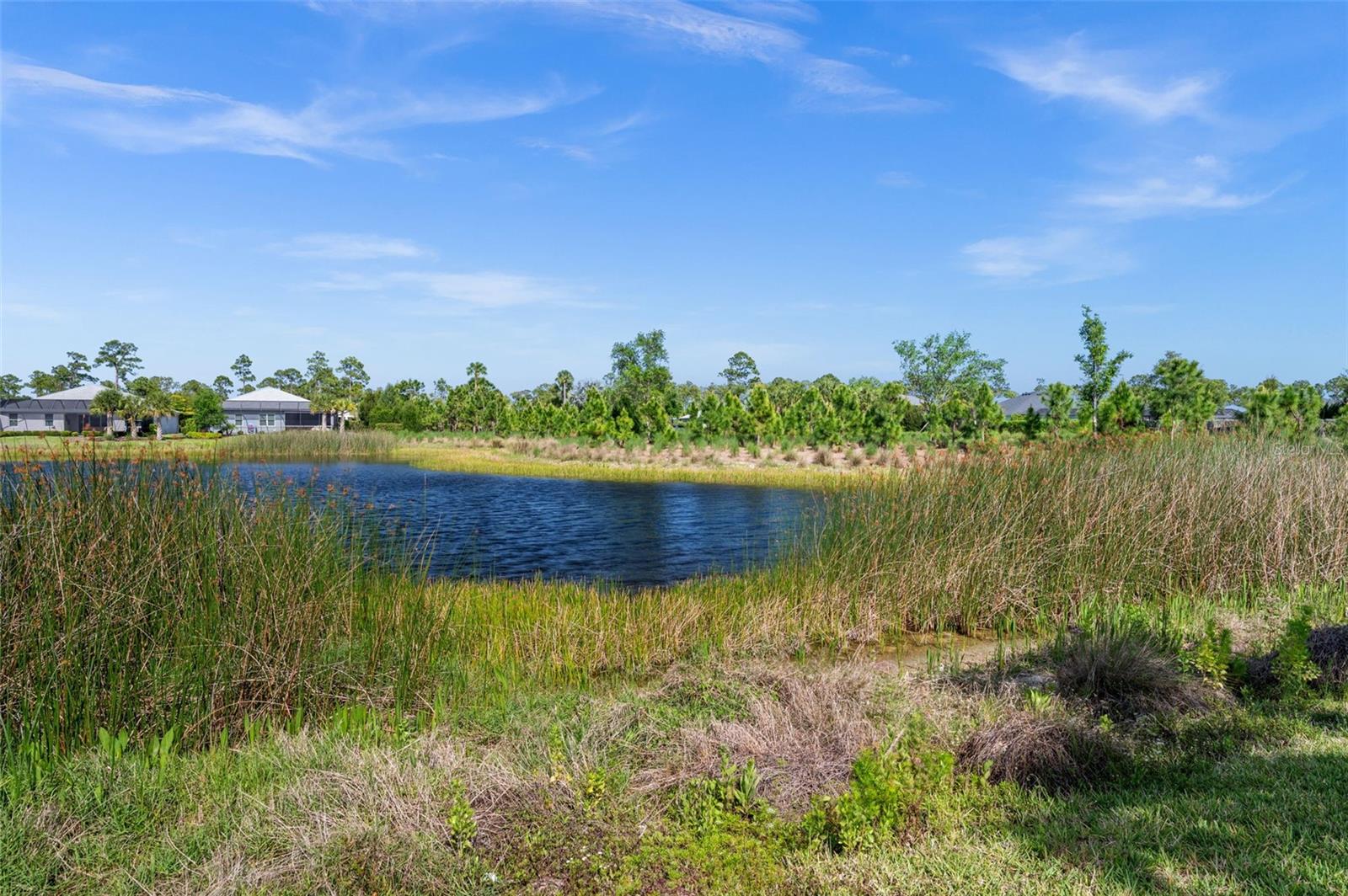 BABCOCK RANCH COMMUNITY PH 1B1 - Residential