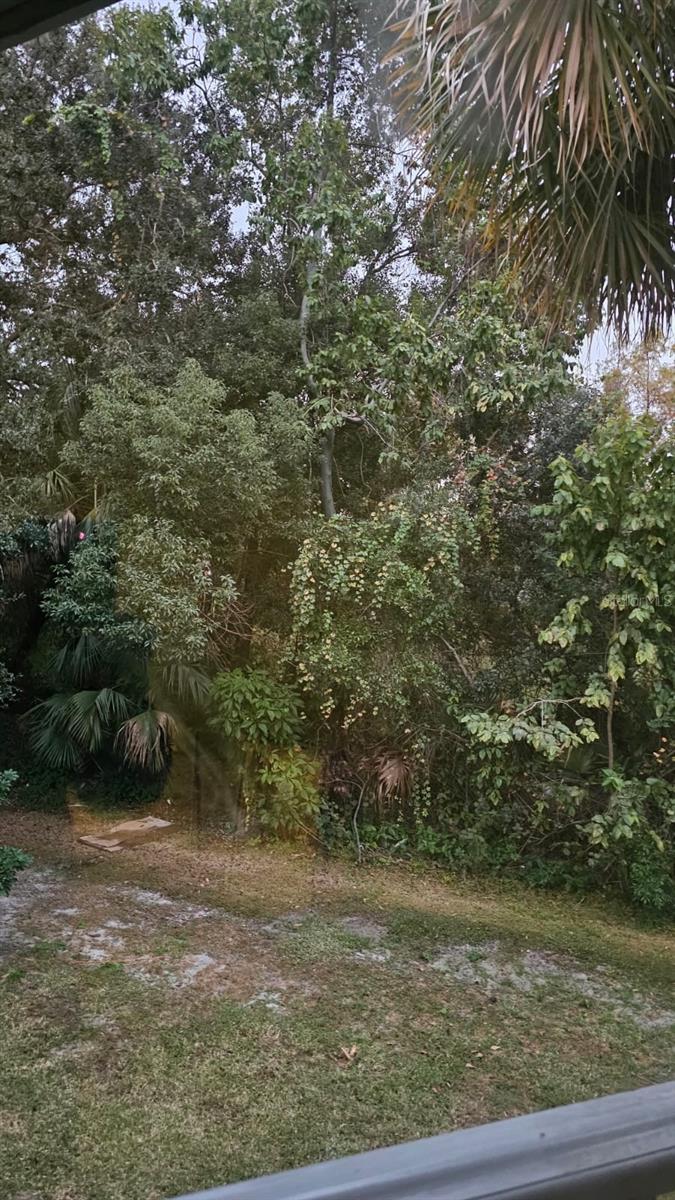 LEMON TREE CONDO SEC 01 - Residential Lease