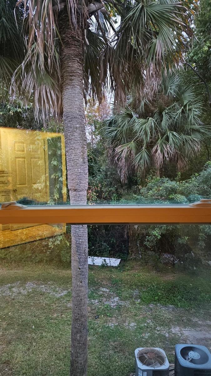 LEMON TREE CONDO SEC 01 - Residential Lease