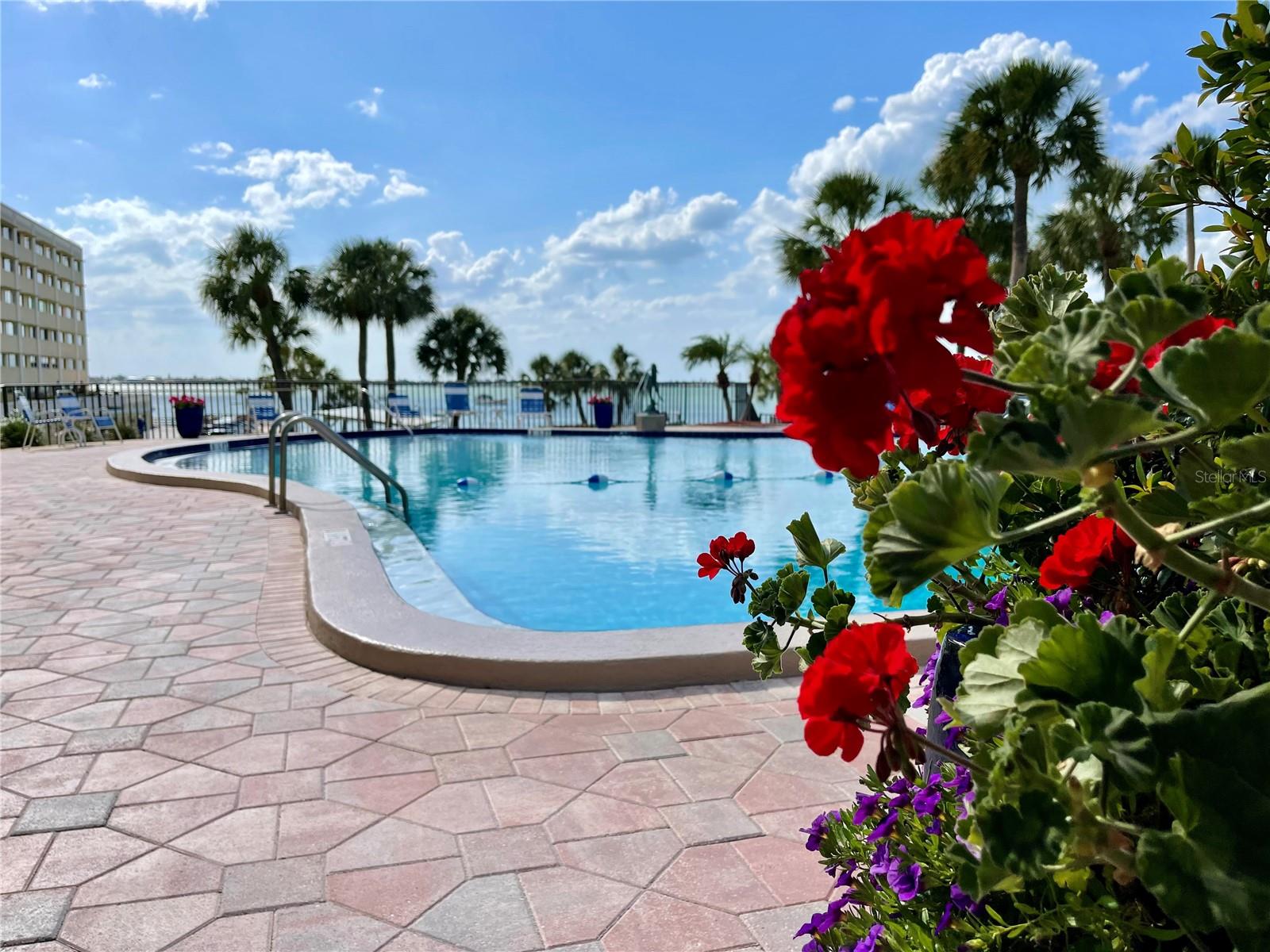 HARBOUR CLUB CONDO 3 - Residential