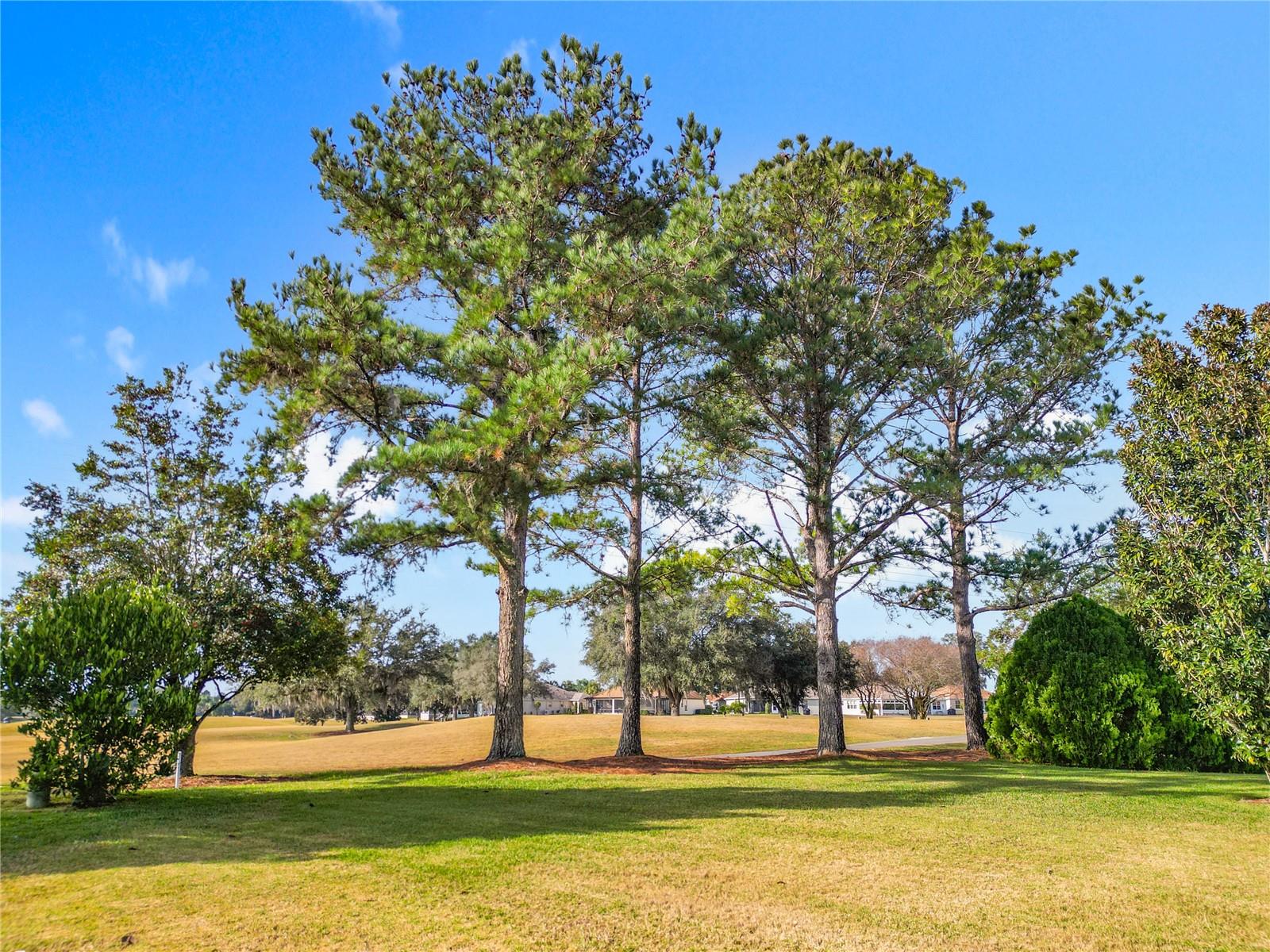 VILLAGES/MARION - Residential