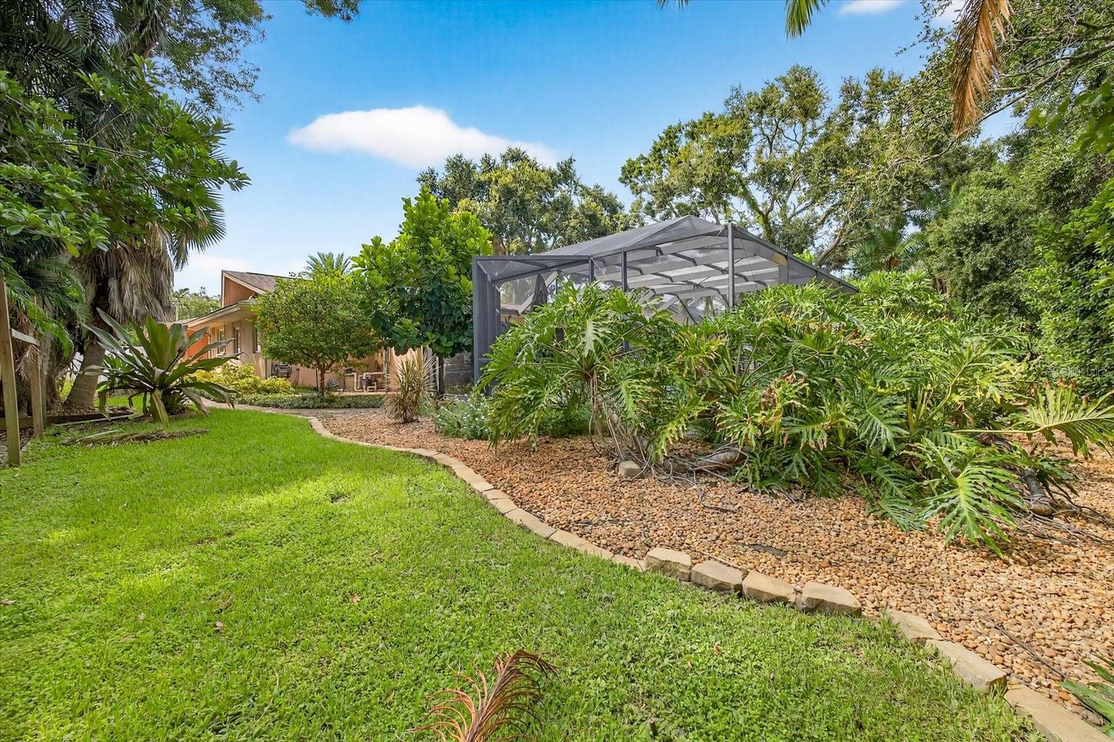 HEART OF BELLEAIR - Residential