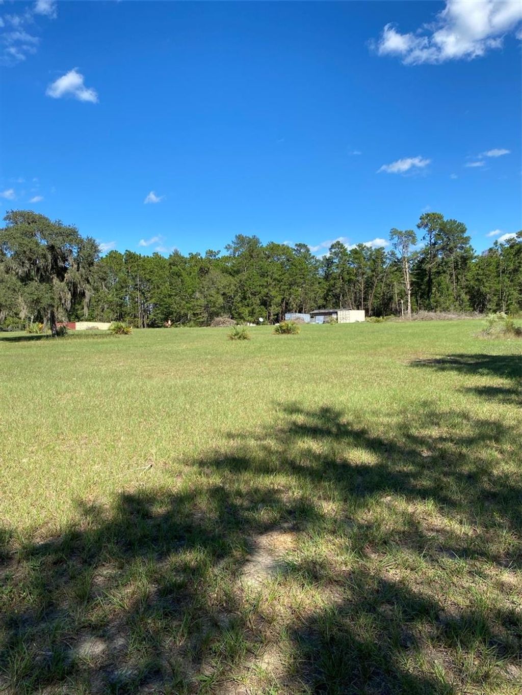 Photo of 17171 SW 17th Circle, Ocala, FL 34473 (MLS # A4669704)