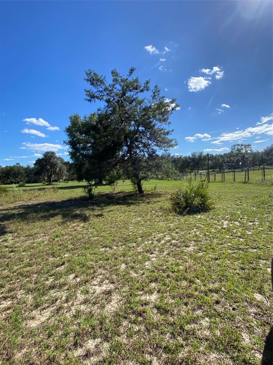 MARION OAKS UN THREE - Land