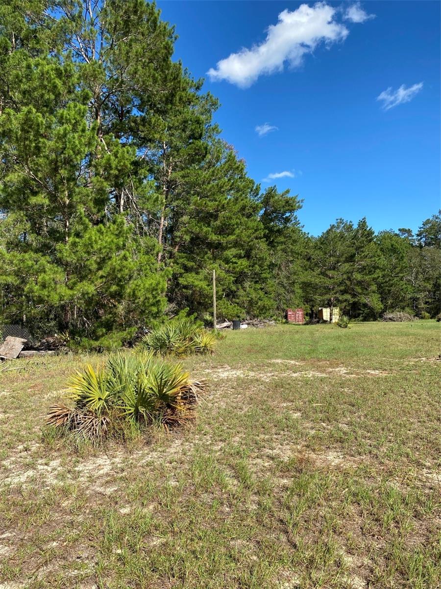 MARION OAKS UN THREE - Land