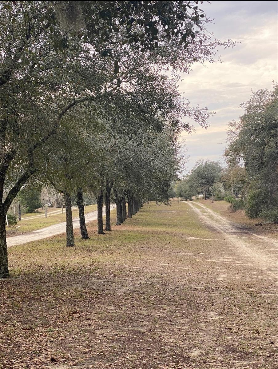 MARION OAKS UN THREE - Land