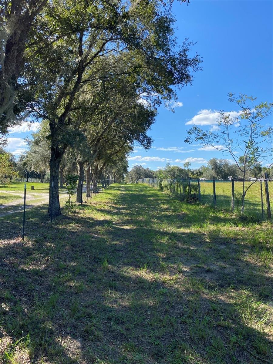 MARION OAKS UN THREE - Land