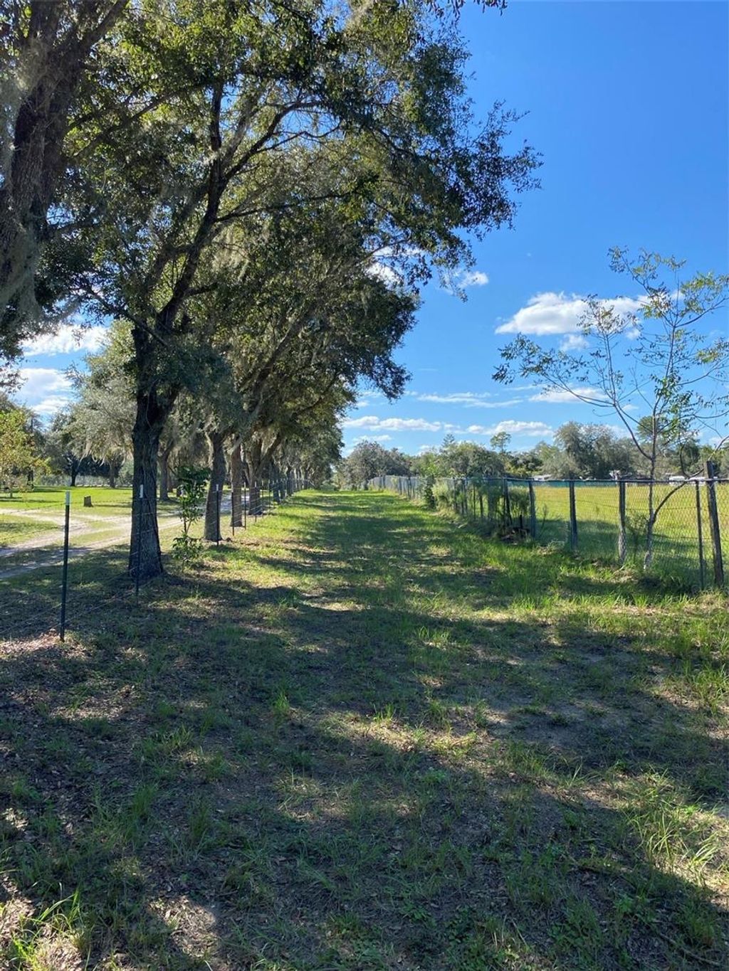 Photo of 17171 SW 17th Circle, Ocala, FL 34473 (MLS # A4669704)