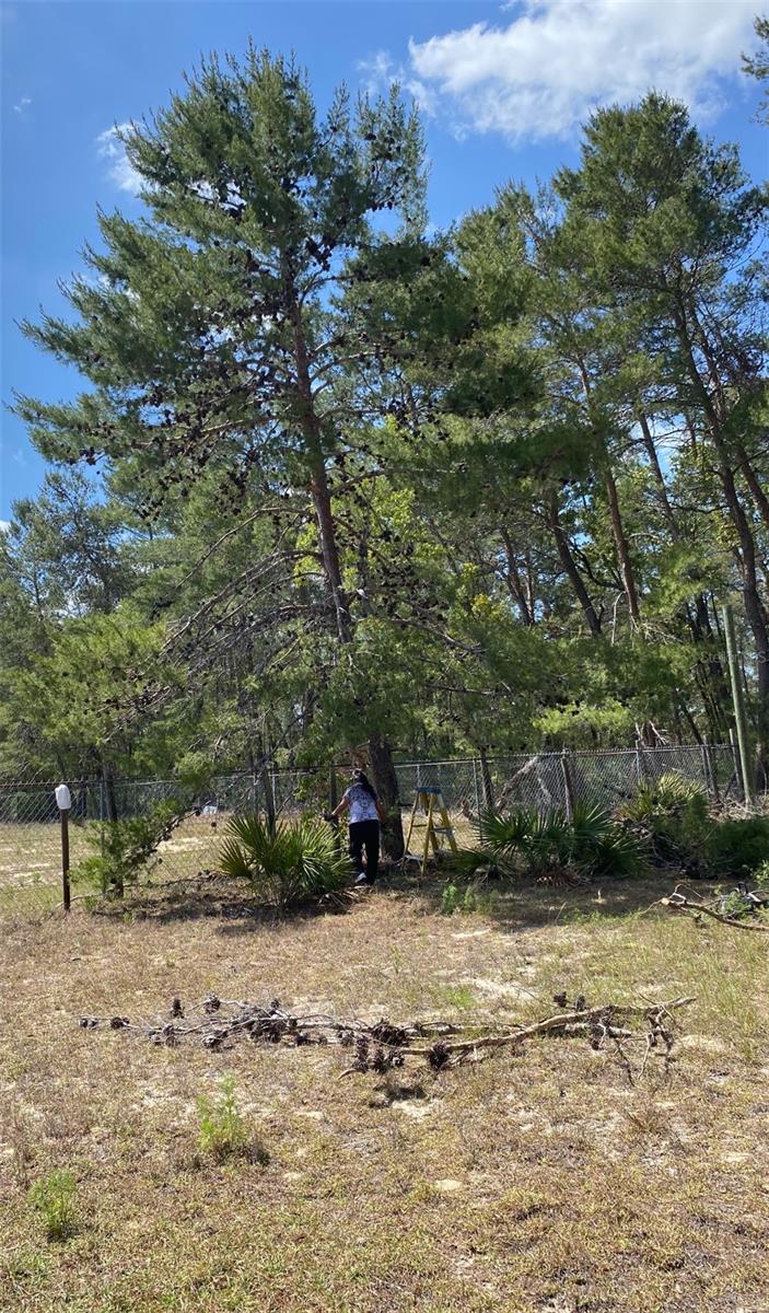 MARION OAKS UN THREE - Land