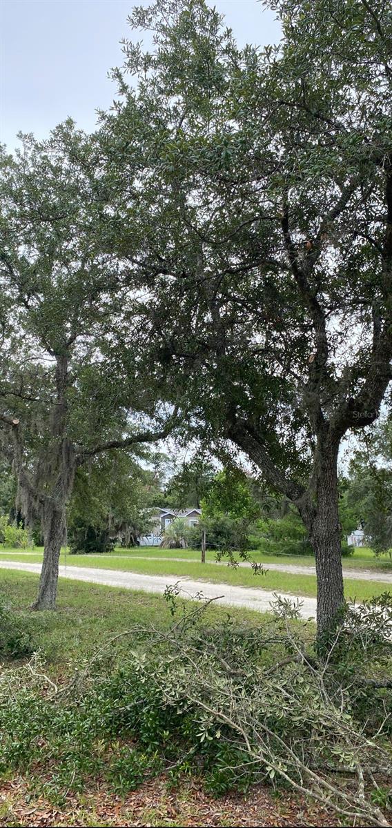 MARION OAKS UN THREE - Land