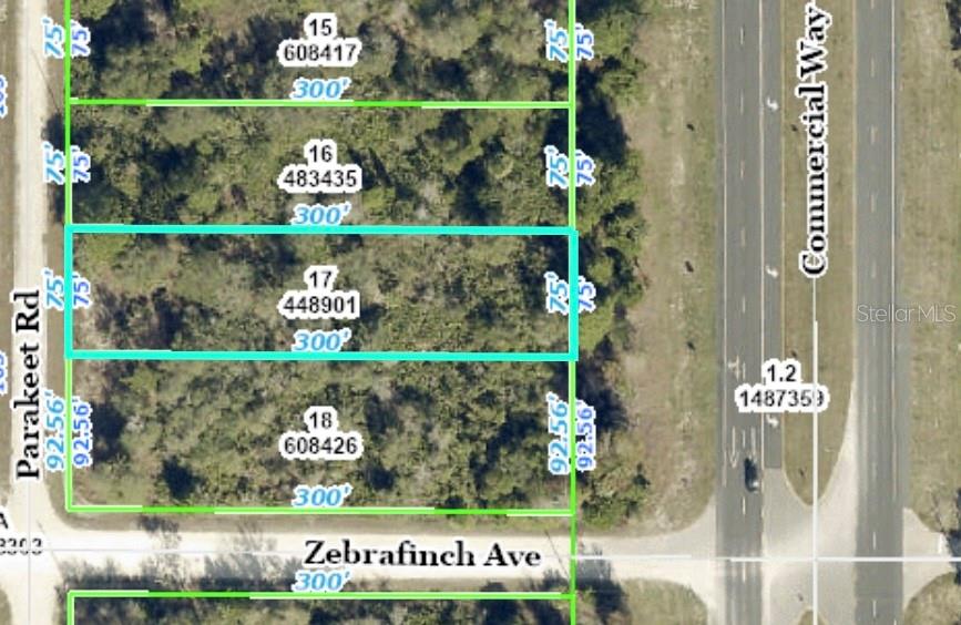 Location!!!Great property on Commercial Way (US Hwy 19). Close to all area amenities such as shopping, schools, dining, entertainment, medical, saltwater fishing in the Gulf and natural freshwater rivers and springs.
