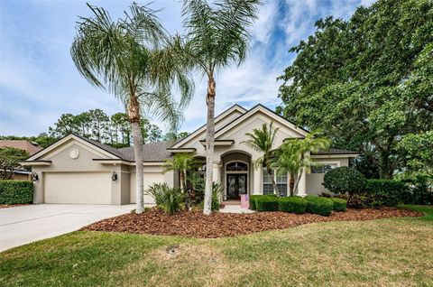 Photo of 4604 Ayron Terrace, Palm Harbor, FL 34685 (MLS # TB8487004)