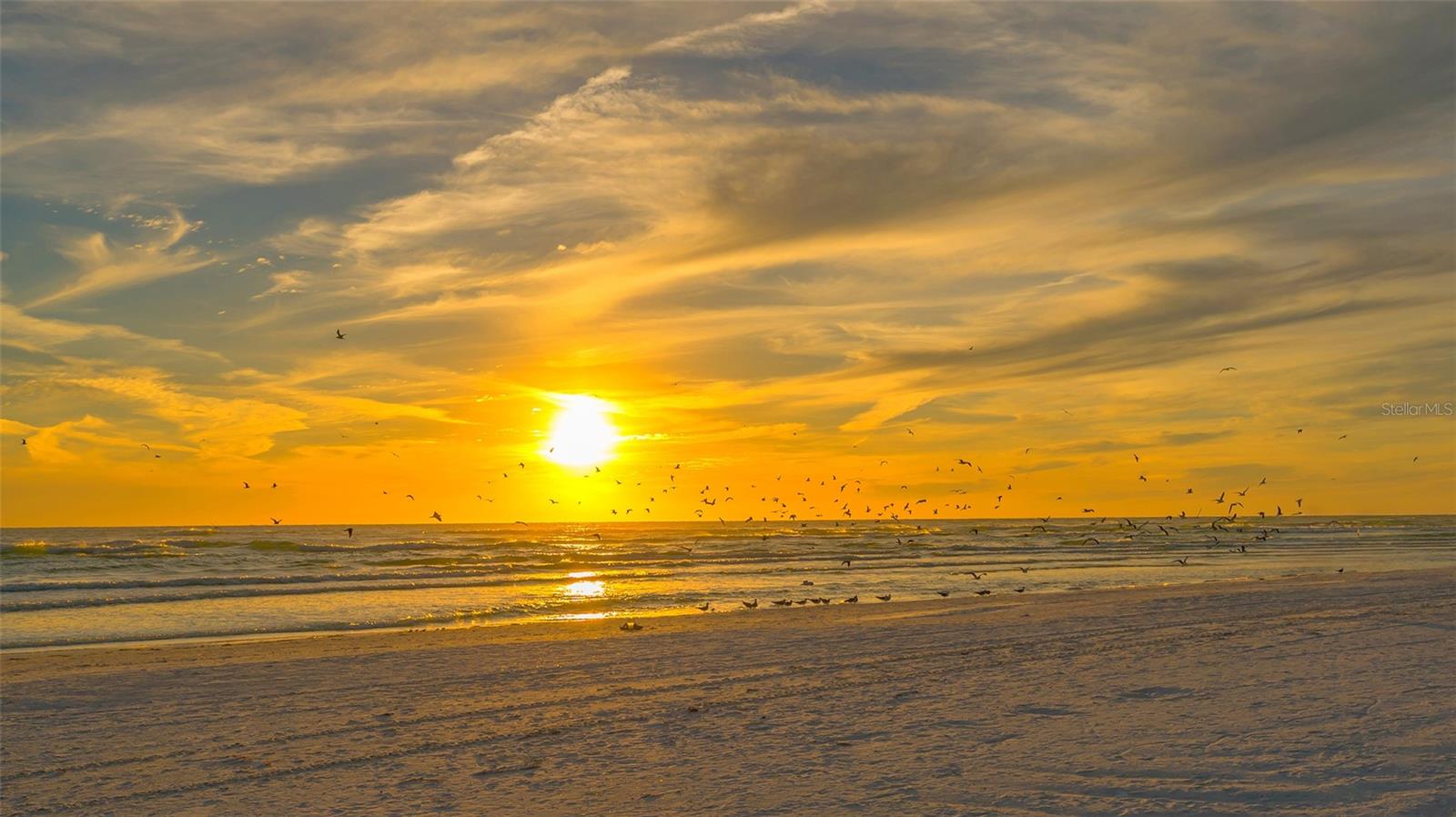 ACREAGE & UNREC - Residential Lease