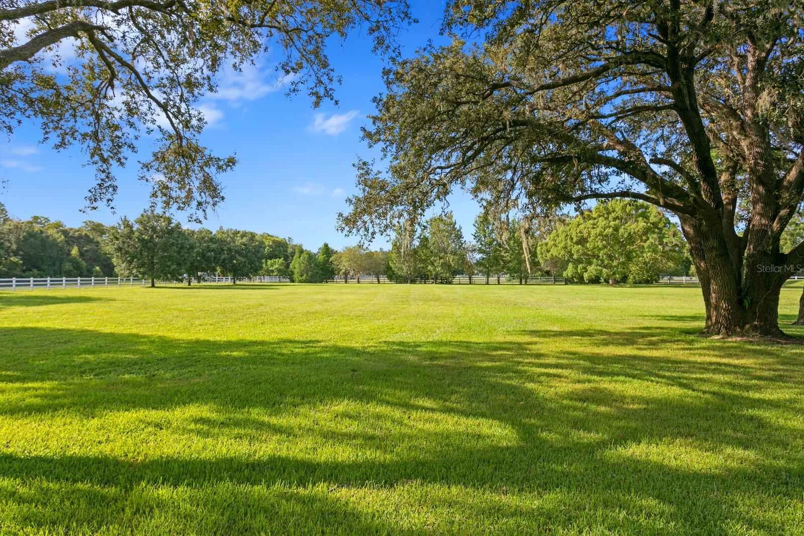 CITRUS GREEN PH 2 - Residential