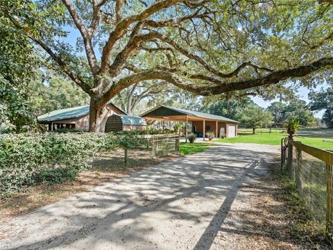 4551 NE 160TH AVENUE WILLISTON FL 32696