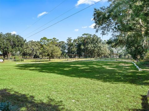 Tiny photo for 4551 NE 160th Avenue, Williston, FL 32696 (MLS # OM713882)