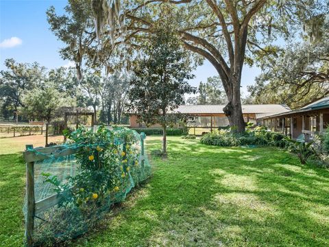 Tiny photo for 4551 NE 160th Avenue, Williston, FL 32696 (MLS # OM713882)