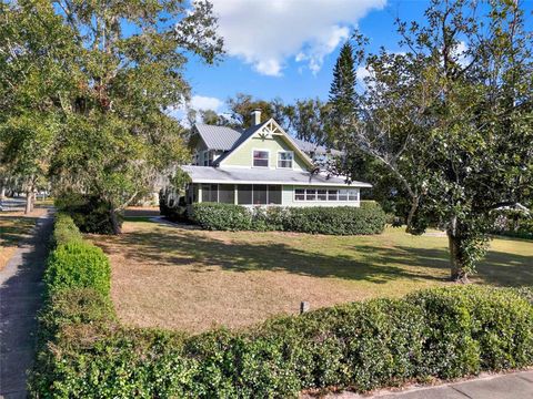 A home in MOUNT DORA