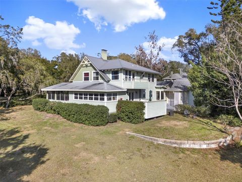 A home in MOUNT DORA