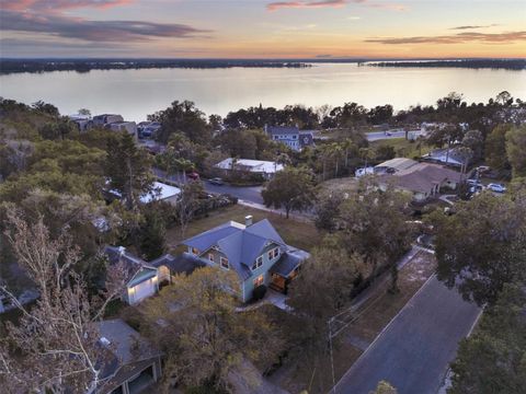 A home in MOUNT DORA