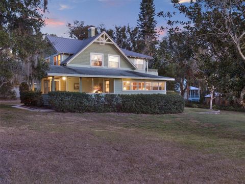 A home in MOUNT DORA