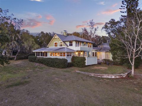 A home in MOUNT DORA