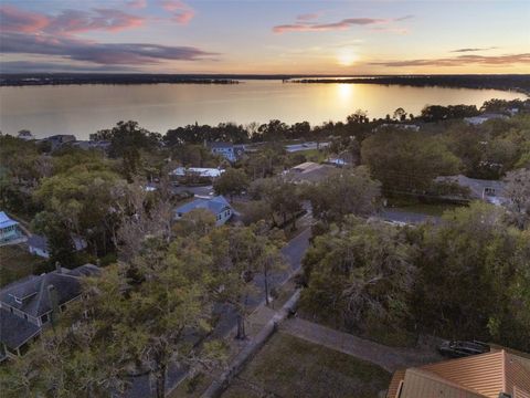 A home in MOUNT DORA