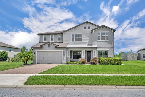 17537 SAILFIN DRIVE ORLANDO FL 32820