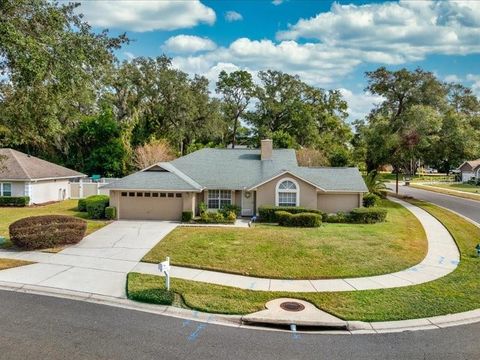 A home in APOPKA