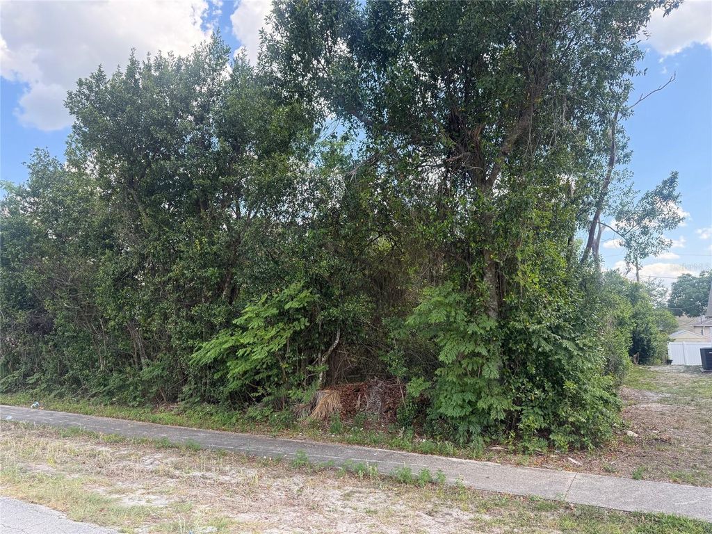 Photo of 2809 Beal Street, Deltona, FL 32738 (MLS # O6400417)