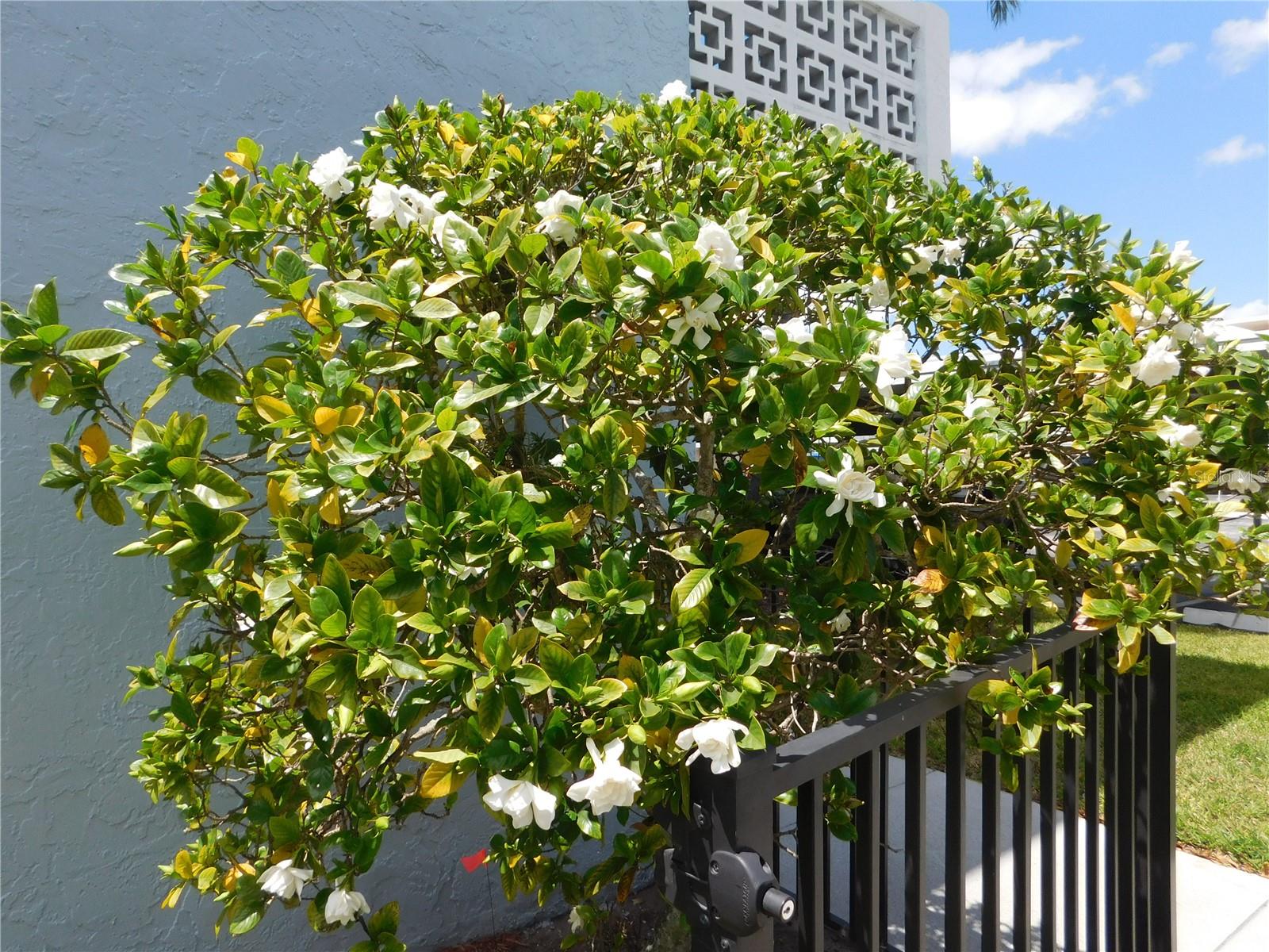 4715 BAY STREET NE 119